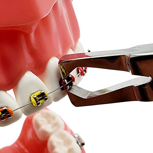 Bracket Removing Pliers Braces Removing Pliers Orthodontic Dental by Wise Lin...