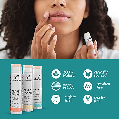 artnaturals Natural Organic Lip Balm Beeswax - (6 x .15 Oz / 4.25g) - Gift Se...