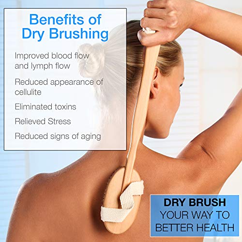 Dry Brushing Body Brush Set with 100% Natural Boar Bristles (Set of 3) | Skin...