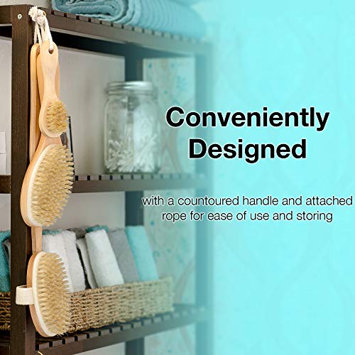 Dry Brushing Body Brush Set with 100% Natural Boar Bristles (Set of 3) | Skin...