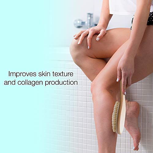 Dry Brushing Body Brush Set with 100% Natural Boar Bristles (Set of 3) | Skin...