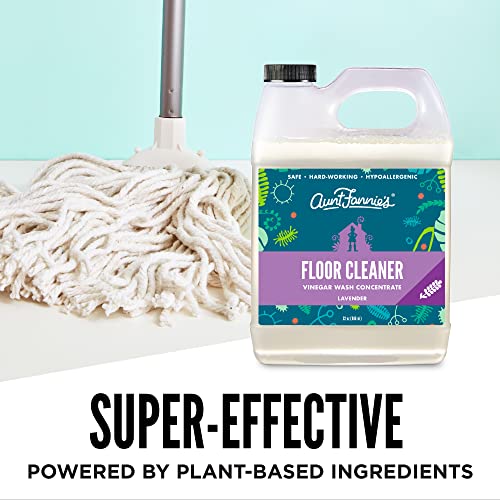 Aunt Fannie's Floor Cleaner Vinegar Wash - Multi-Surface Cleaner, 32 oz. (Sin...