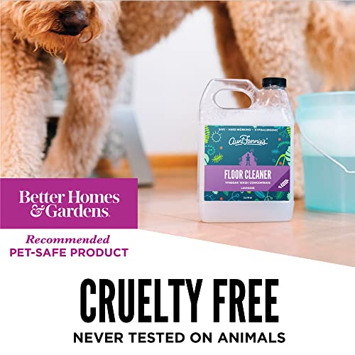 Aunt Fannie's Floor Cleaner Vinegar Wash - Multi-Surface Cleaner, 32 oz. (Sin...