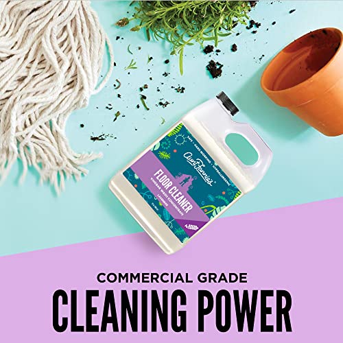 Aunt Fannie's Floor Cleaner Vinegar Wash - Multi-Surface Cleaner, 32 oz. (Sin...