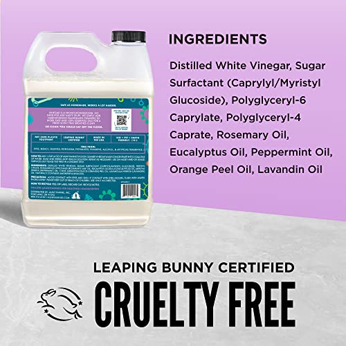 Aunt Fannie's Floor Cleaner Vinegar Wash - Multi-Surface Cleaner, 32 oz. (Sin...