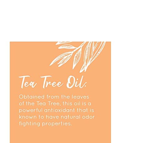 Australian Gold Rapid Tanning Intensifier Lotion, 8.5 Fl Oz | With Tea Tree O...