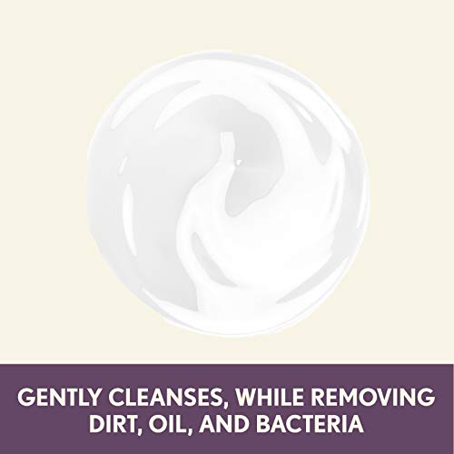 Aveeno Absolutely Ageless Nourishing Daily Facial Cleanser, Antioxidant-Rich ...