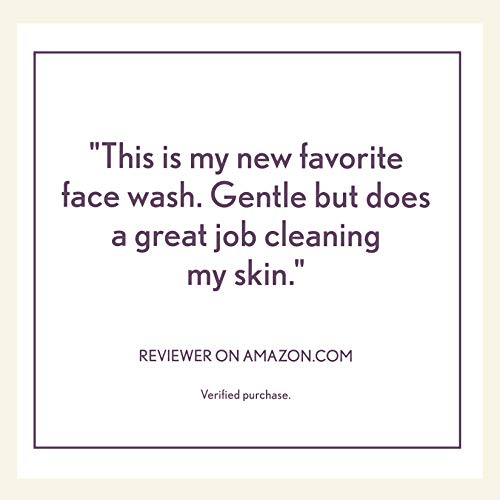 Aveeno Absolutely Ageless Nourishing Daily Facial Cleanser, Antioxidant-Rich ...