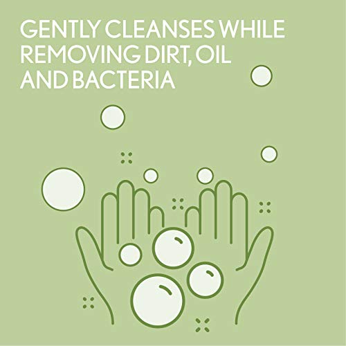 Aveeno Daily Moisturizing Body Wash with Soothing Oat Creamy Shower Gel (Soap...