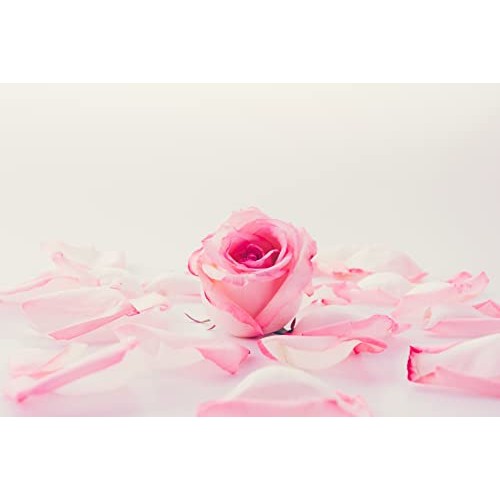 AYURVEDASHREE Rose Petals Powder 200 Gm | Rosa centifolia Natural Face Packs ...