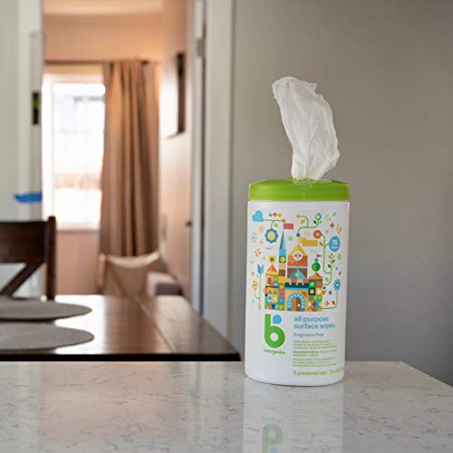 Babyganics Cleaning Set - Hand Sanitizer, All Purpose Surface Wipes, 2 Items