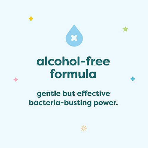 Babyganics Foaming Pump Hand Sanitizer, Alcohol Free, Travel Size, Fragrance ...