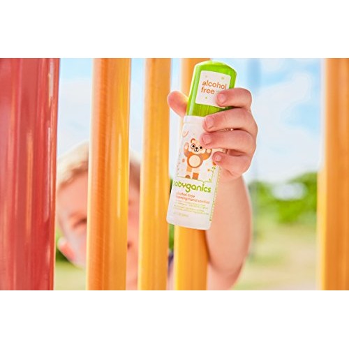 Babyganics Foaming Pump Hand Sanitizer, Alcohol Free, Travel Size, Fragrance ...