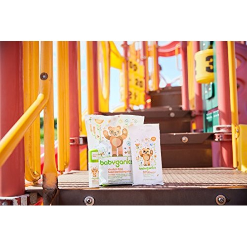 Babyganics Foaming Pump Hand Sanitizer, Alcohol Free, Travel Size, Fragrance ...