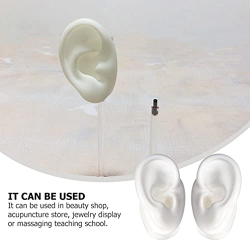 balacoo Silicone Ear Model Ear Display Model Acupuncture Ear Model Simulation...