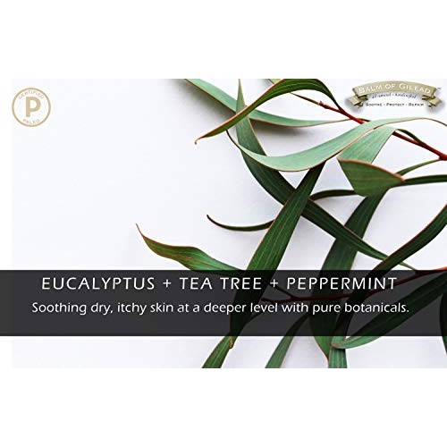 EUCALYPTUS + TEA TREE CREAM - intensive moisture and healing - FOOT AND BODY ...
