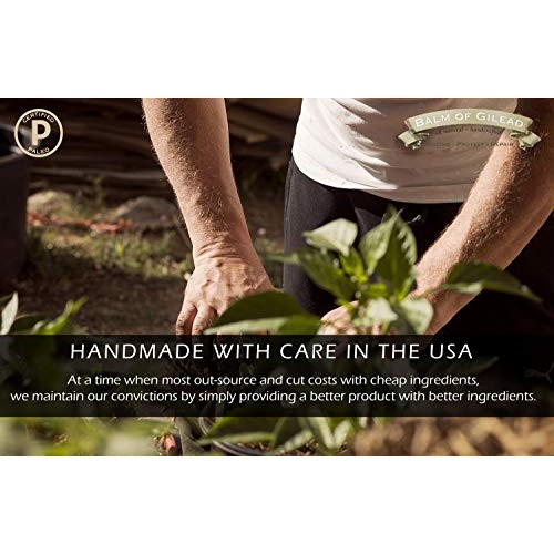 EUCALYPTUS + TEA TREE CREAM - intensive moisture and healing - FOOT AND BODY ...