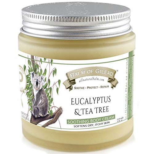 EUCALYPTUS + TEA TREE CREAM - intensive moisture and healing - FOOT AND BODY ...