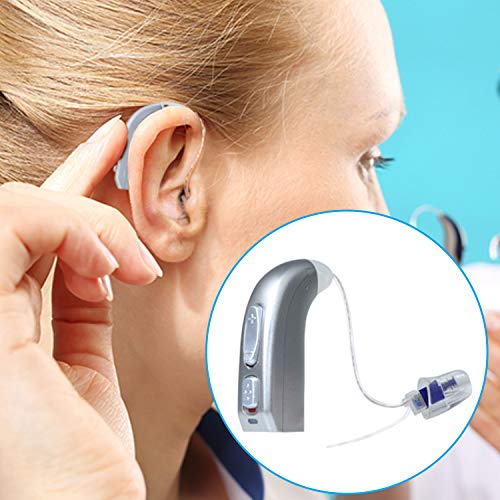 Banglijian Hearing Aid Rechargeable with Digital Noise Cancelling and Feedbac...