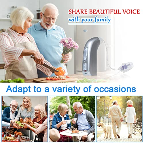 Banglijian Hearing Aid Rechargeable with Digital Noise Cancelling and Feedbac...
