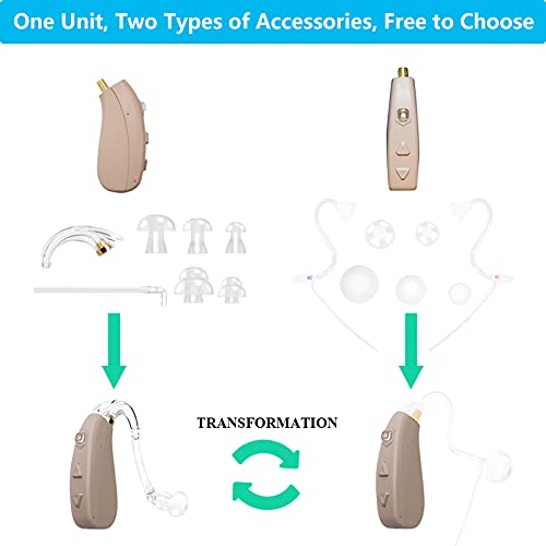 Banglijian Hearing Aid Rechargeable Ziv-206 with 4 Channels Layered Noise Red...