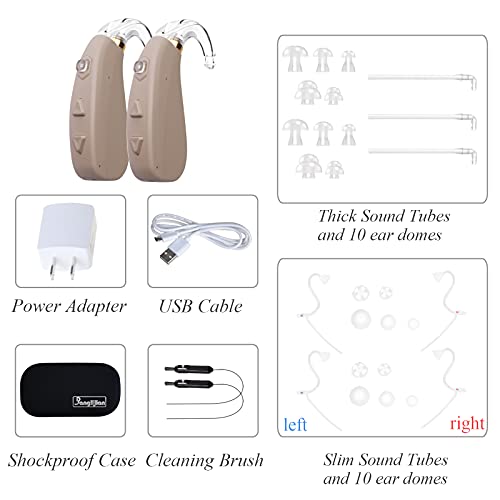 Banglijian Hearing Aid Rechargeable Ziv-206 with 4 Channels Layered Noise Red...