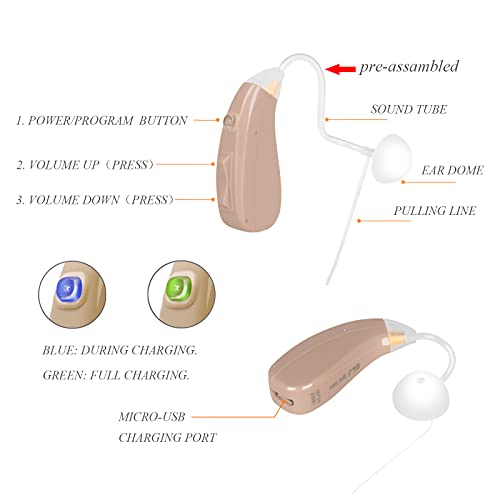 Banglijian Hearing Aid Ziv-201A Rechargeable Digital Noise Cancelling Small S...