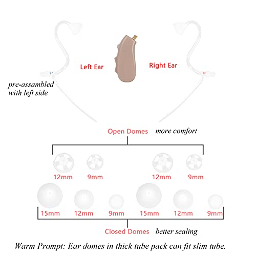 Banglijian Hearing Aid Ziv-201A Rechargeable Digital Noise Cancelling Small S...