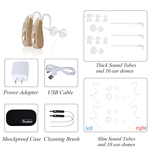 Banglijian Hearing Aid Ziv-201A Rechargeable Digital Noise Cancelling Small S...