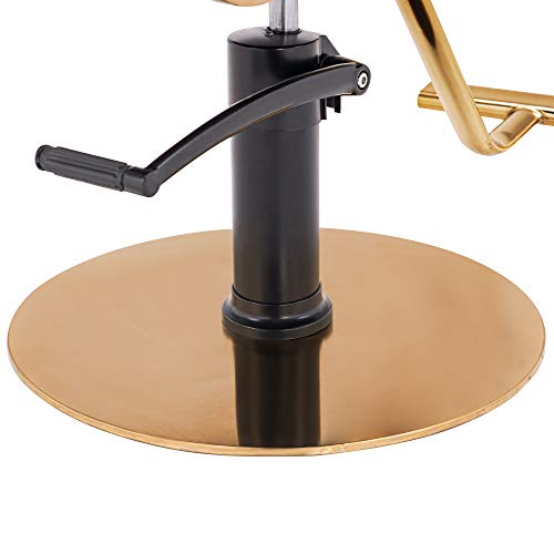 BarberPub Salon Chair Hydraulic Barber Chair Hair Cutting Beauty Spa Salon St...