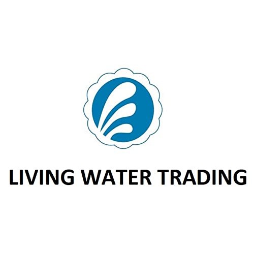 Basic Disposable Medical Synmax Vinyl Exam Gloves- 1000pcs - Latex-Free & Pow...