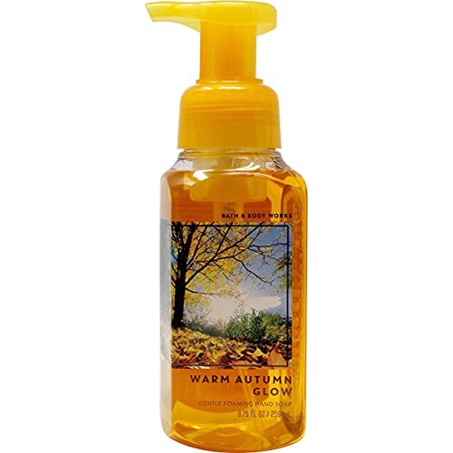 Bath & Body Works Assorted 5 Pack Gentle Foaming Hand Soap