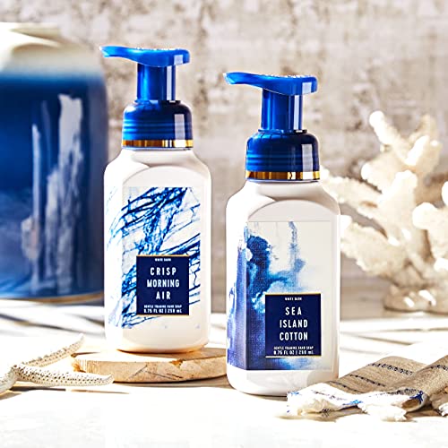 Bath & Body Works, Gentle Foaming Hand Soap. Japanese Cherry Blossom (2-Pack)