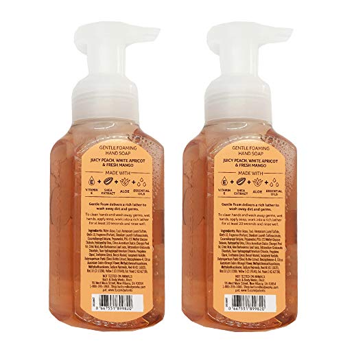 Bath&Body Works Gentle Foaming Hand Soap Peach Bellini, 8.75 Ounce, (Pack of 2)