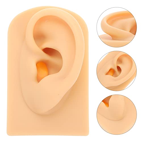 Simulation Human Ear Acupuncture Model: Left Ear Piercing Practicing Mold Ear...