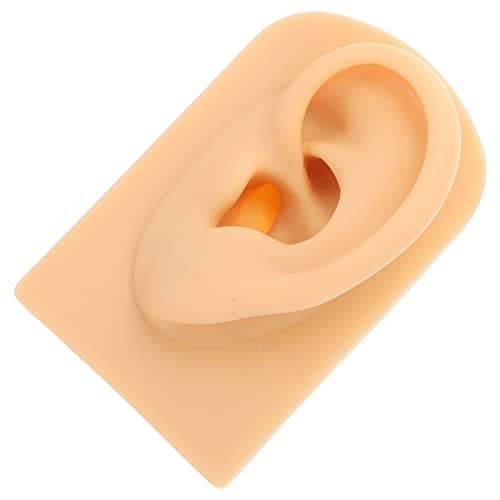 Simulation Human Ear Acupuncture Model: Left Ear Piercing Practicing Mold Ear...