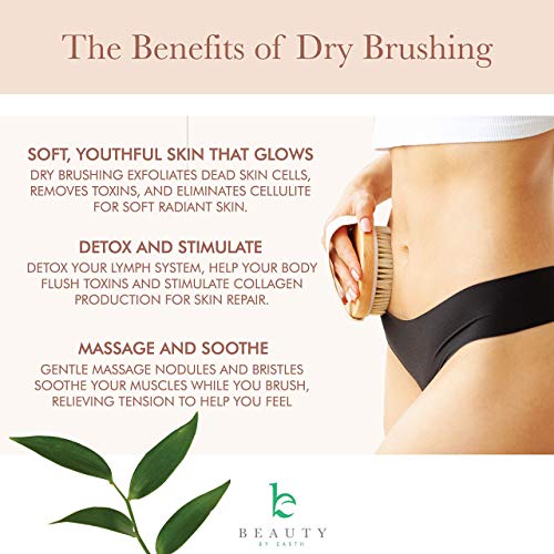 Dry Brushing Body Brush - Round Exfoliating Brush, Body Brush, Dry Brush for ...