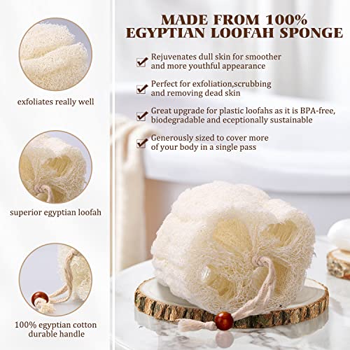 BEDELITE 100% Natural Loofah Sponge - Real Egyptian Shower Loofah Sponge, Bat...