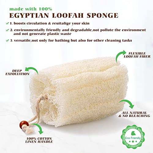 BEDELITE 100% Natural Loofah Sponge - Real Egyptian Shower Loofah Sponge, Bat...