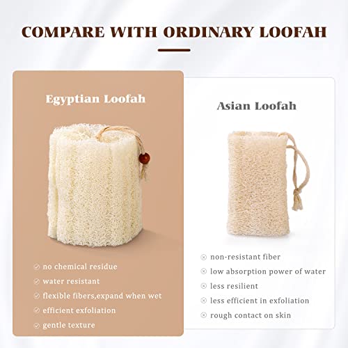 BEDELITE 100% Natural Loofah Sponge - Real Egyptian Shower Loofah Sponge, Bat...