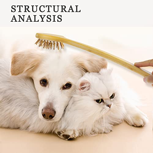 Large Curved Bamboo Back Scratcher - 59 Points Provide Instant Itch Relief, C...