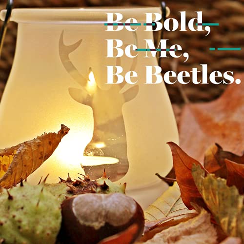 Beetles Gel Nail Polish Set 6 Colors Roasted Chestnuts Collection Chocolate B...