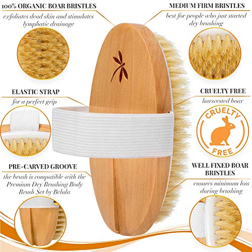 Belula Dry Brushing Body Brush. Medium Soft Dry Brush for Cellulite and Lymph...