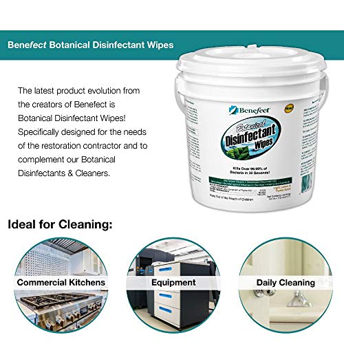 Benefect Botanical Disinfecting Wipes - (250 Wipe Count) Natural, No Residue ...