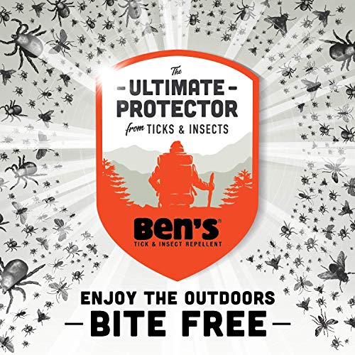 Ben's 30 Insect Repellent Wipes, 12 ct (Pack of 4)