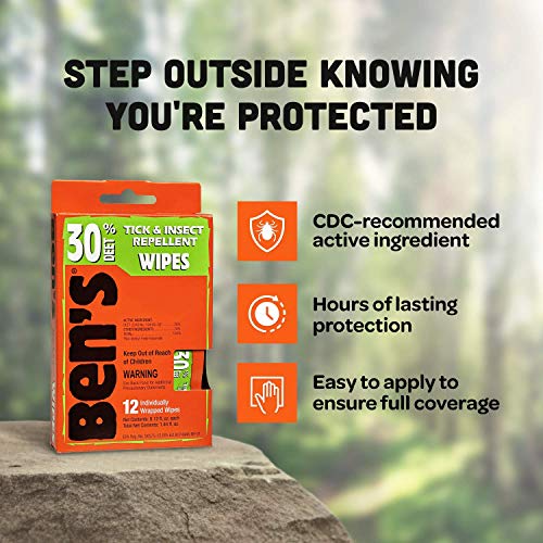 Ben's 30 Insect Repellent Wipes, 12 ct (Pack of 4)