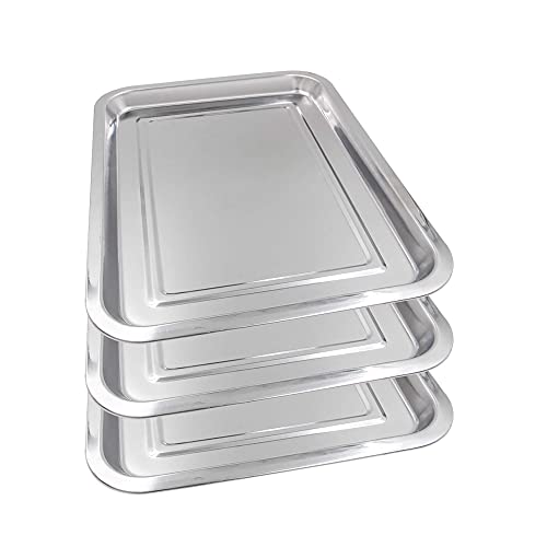 Tattoo Stainless Steel Tray, Beoncall 3 Pack Stainless Steel Tattoo Trays 13....