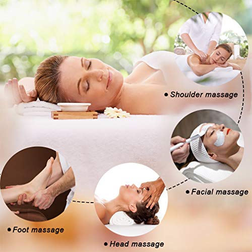 Massage Table Massage Bed Spa Bed Height Adjustable 2 Fold Portable 73 Inches...