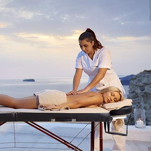 Massage Table Portable Spa Bed Salon Bed Hight Adjustable Massage Table 2 Fol...