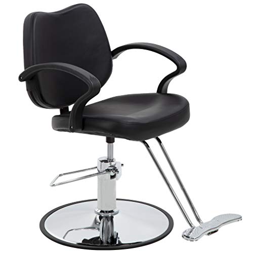 Salon Chair Barber Chair Styling Chair Heavy-Duty Beauty Salon Barber Swivel ...